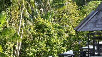 A wooden structure with a roof, surrounded by lush green foliage and palm trees.
