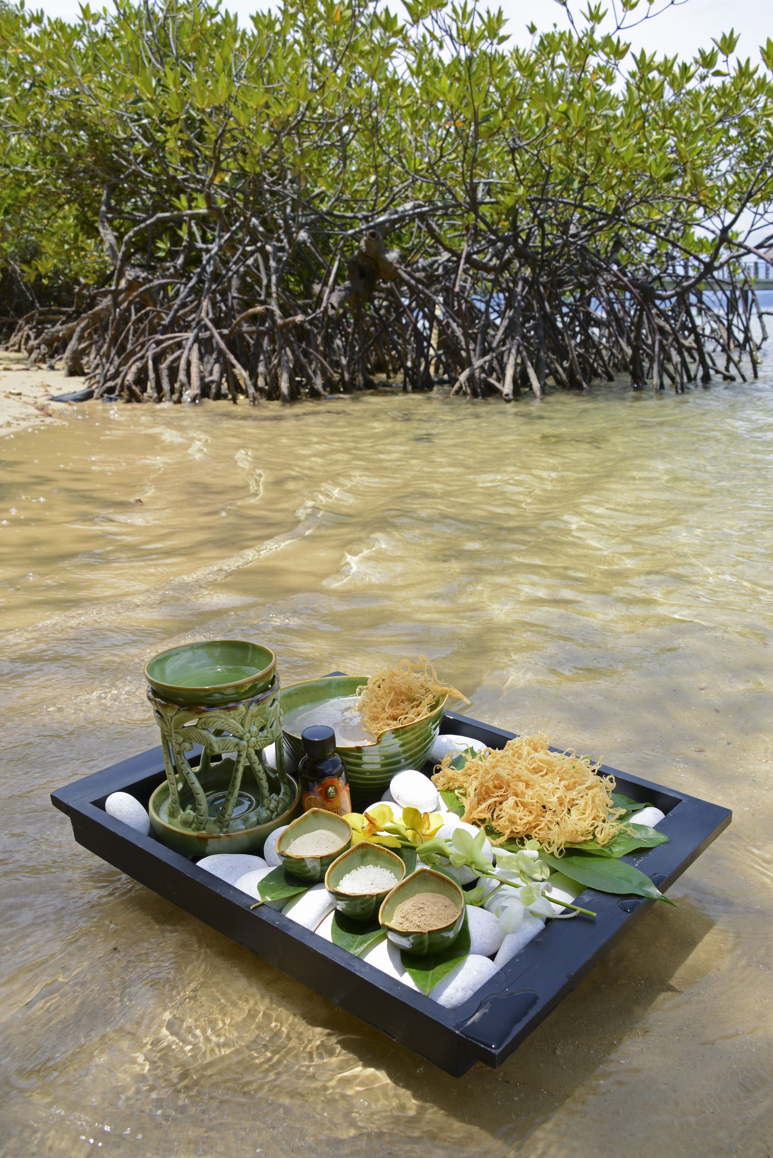 Un plateau contenant des aliments et un récipient vert, posés sur une plage où l’eau est claire et où l’on aperçoit, au loin, des mangroves.