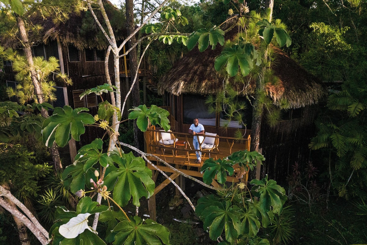 A wooden platform with a thatched roof, surrounded by lush greenery and large leaves.