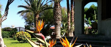 A garden with palm trees and bird of paradise flowers in front of a building with a covered patio.