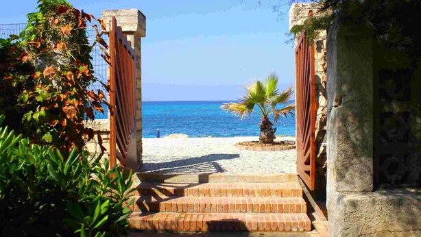 A beach entrance with steps leading to the shore, a palm tree, and a clear view of the sea.