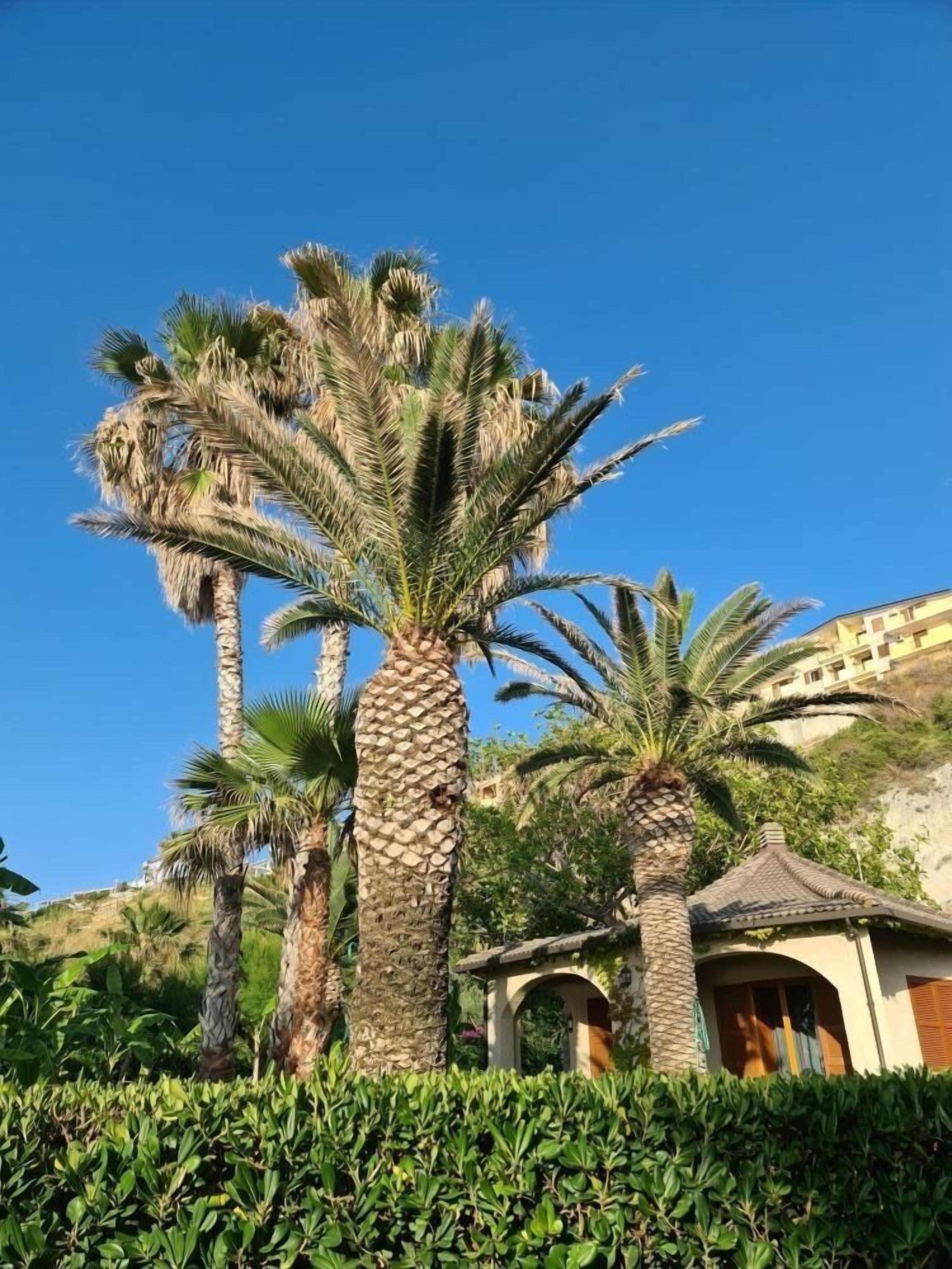 Photo - Villa Giada