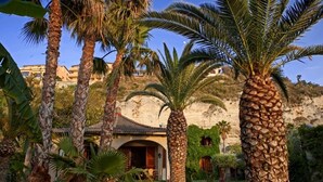 A traditional building with a tiled roof, surrounded by palm trees and a well-maintained garden.