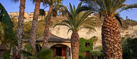 Área da propriedade