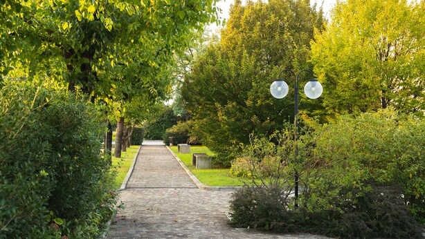 A paved pathway flanked by lush greenery and stone benches, leading to a building entrance.