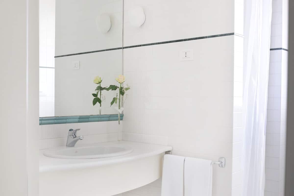 shower, free toiletries, hair dryer, bidet