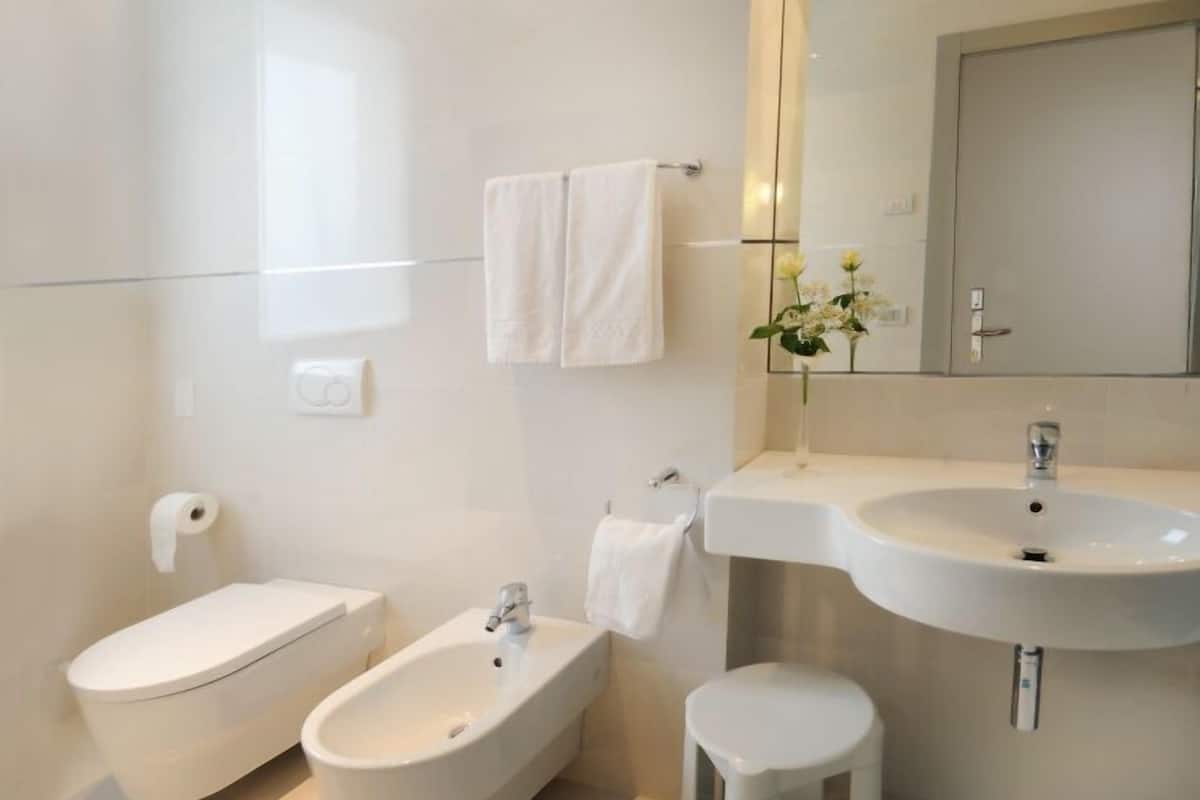 deluxe double room (plus) | bathroom | shower, free toiletries, hair dryer, bidet