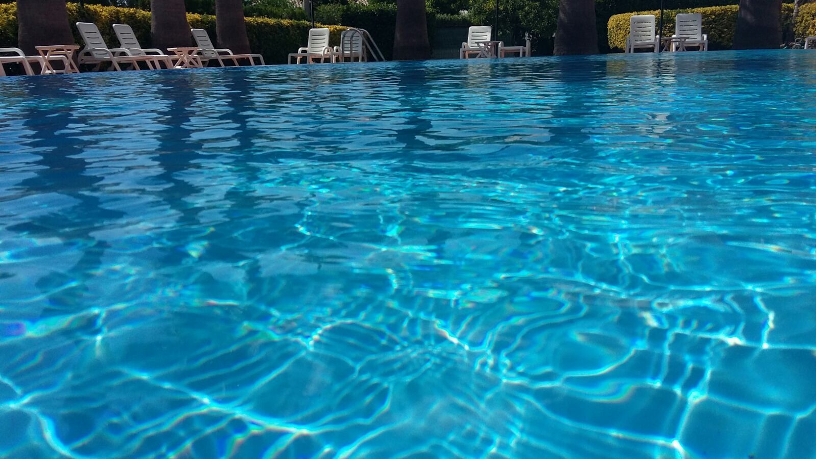 Piscina límpida com água refletindo a luz do sol, rodeada por espreguiçadeiras e palmeiras.