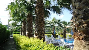 A pathway lined with palm trees and a pool area with lounge chairs. - Residence Hotel Villa Laura (Ascea)