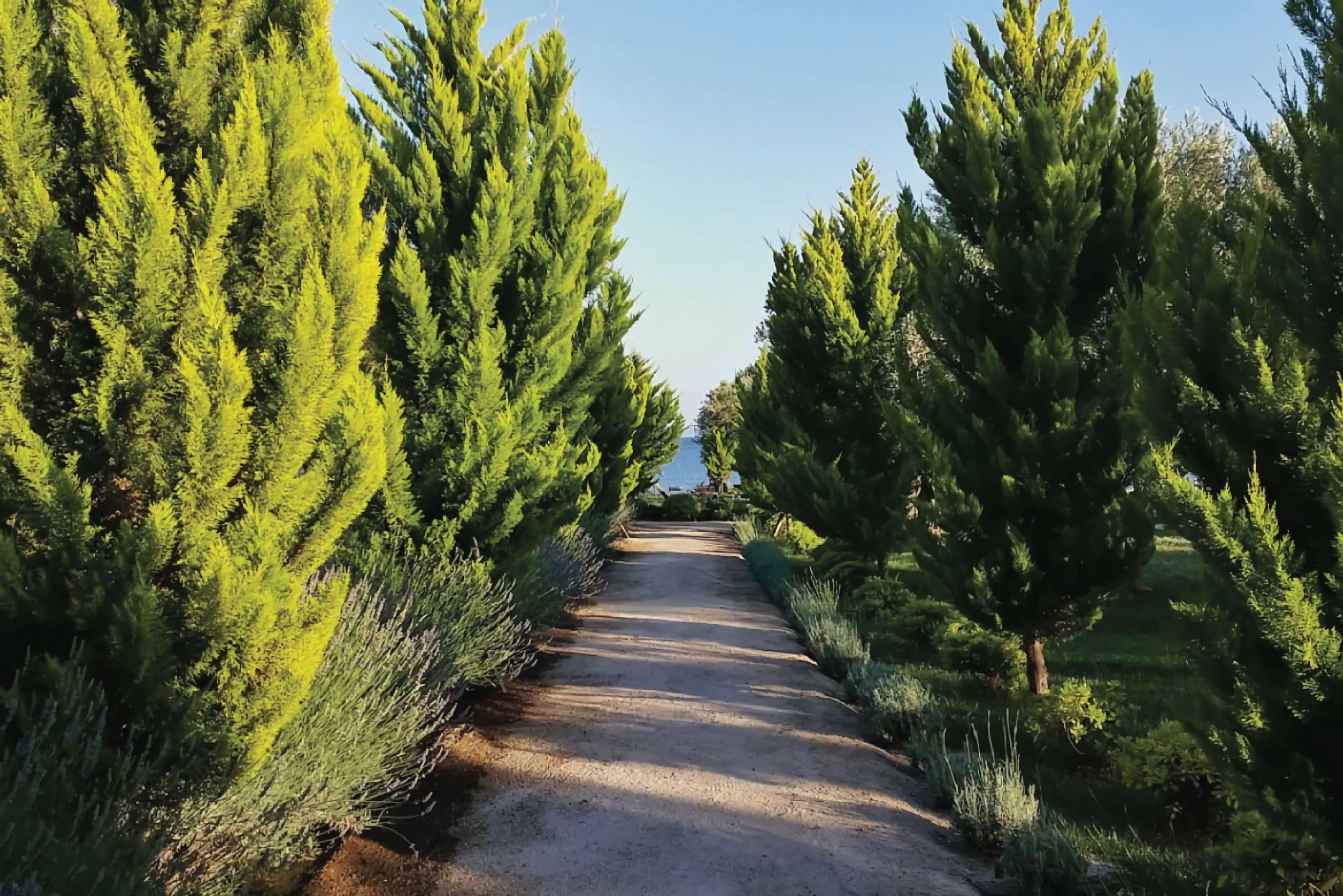 private beach nearby