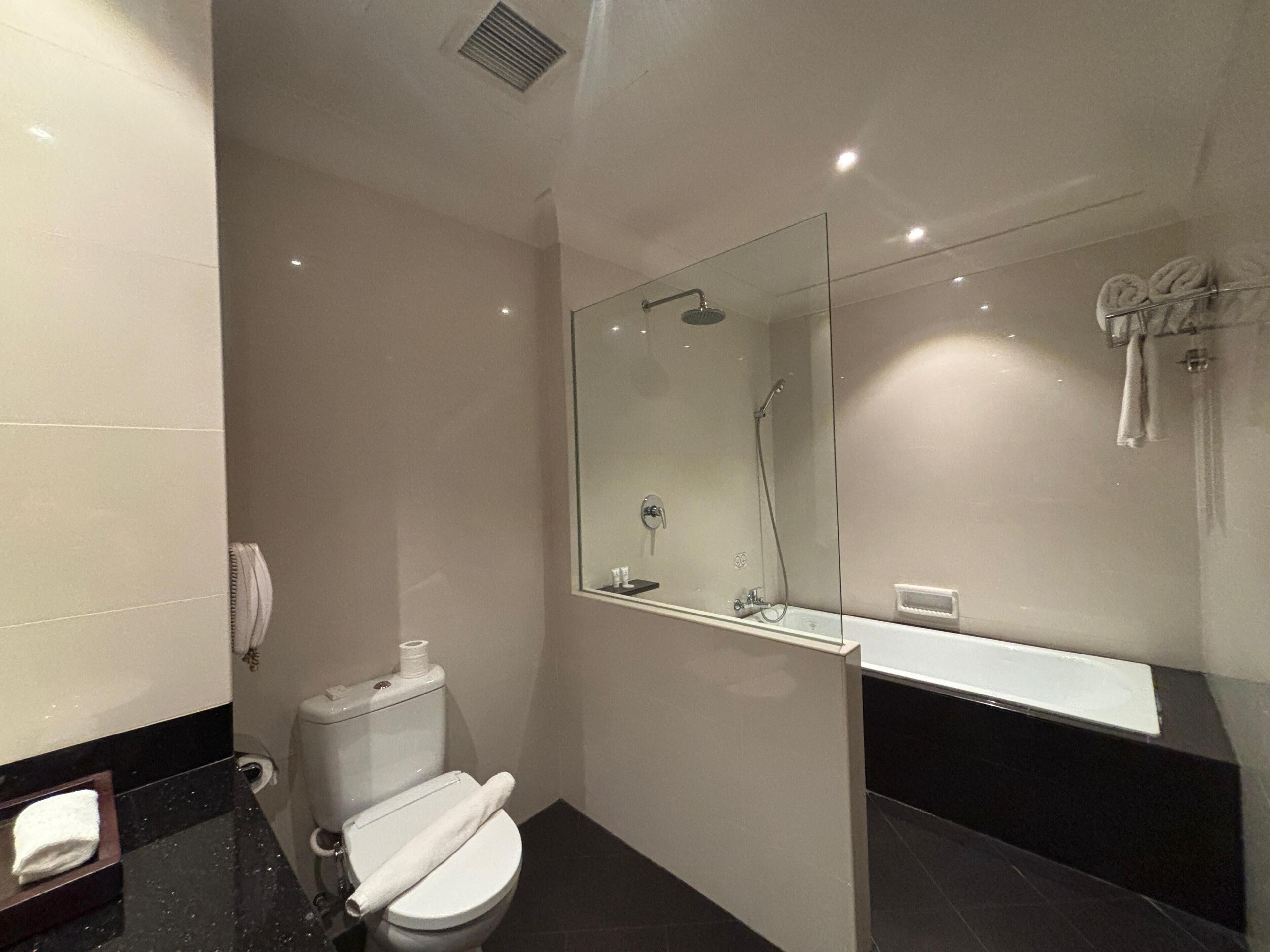 A modern bathroom with a toilet, a shower, and a large mirror.