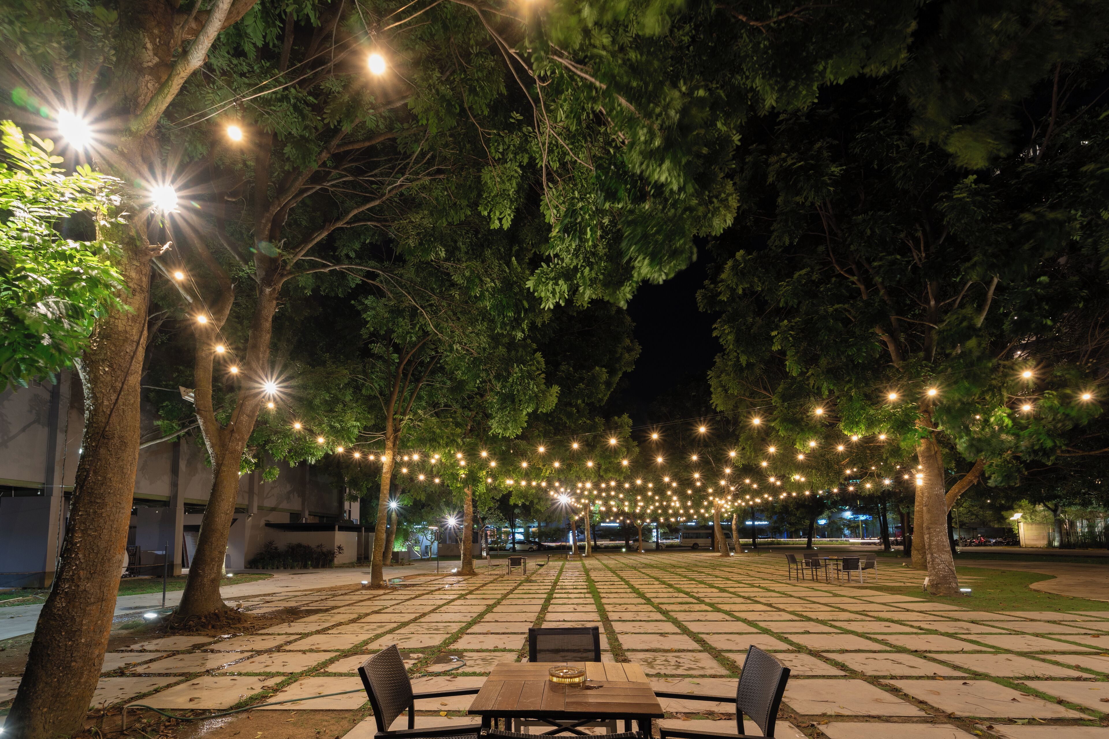 Un espace extérieur aménagé avec des tables et des chaises, entouré d’arbres et illuminé de guirlandes lumineuses.