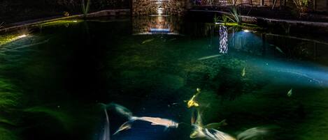 Una vista nocturna de un estanque con peces koi nadando, rodeado de muros de piedra e iluminado por luces.