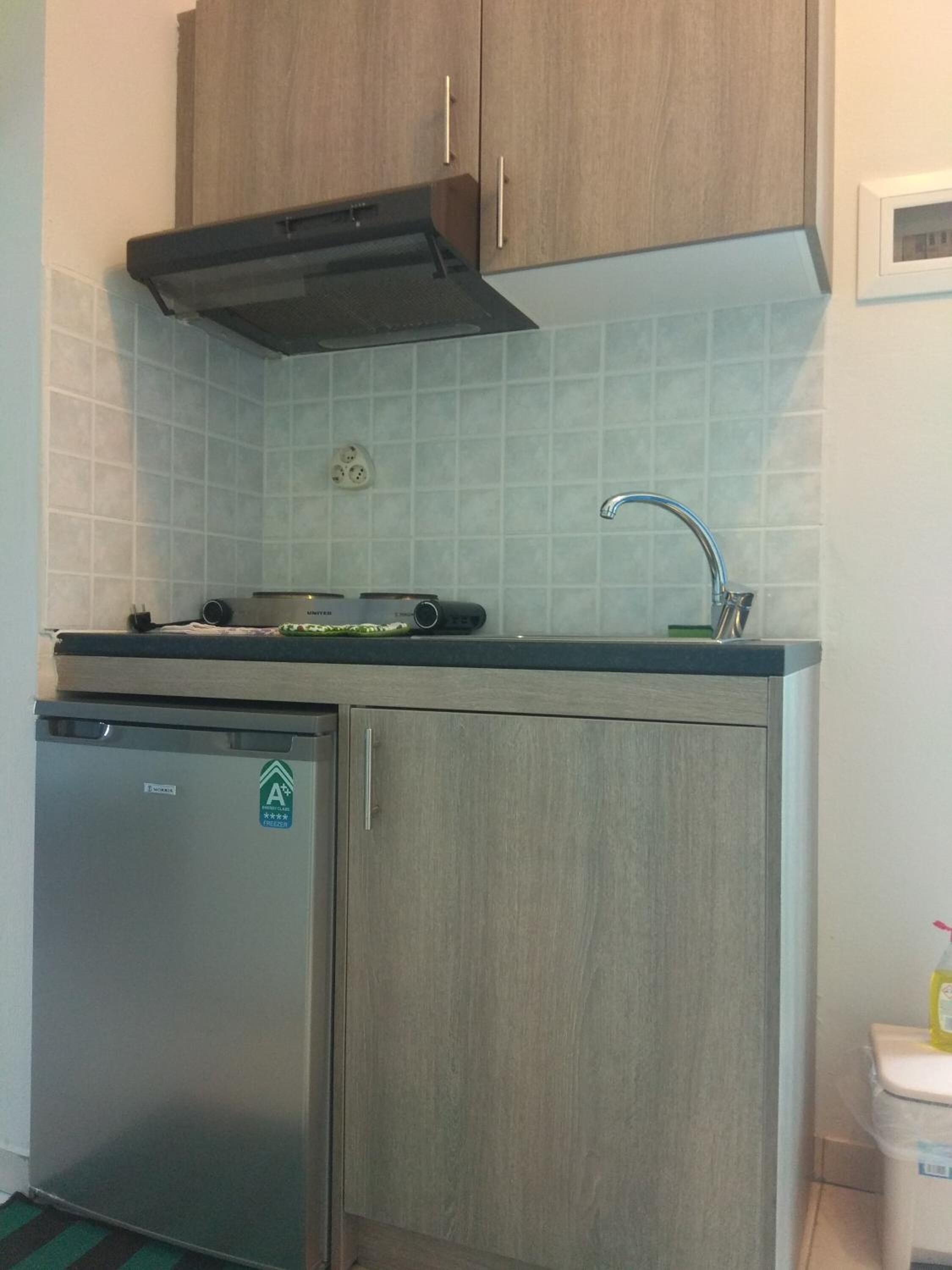 basic studio, 3 single beds, kitchen | private kitchen | fridge, microwave