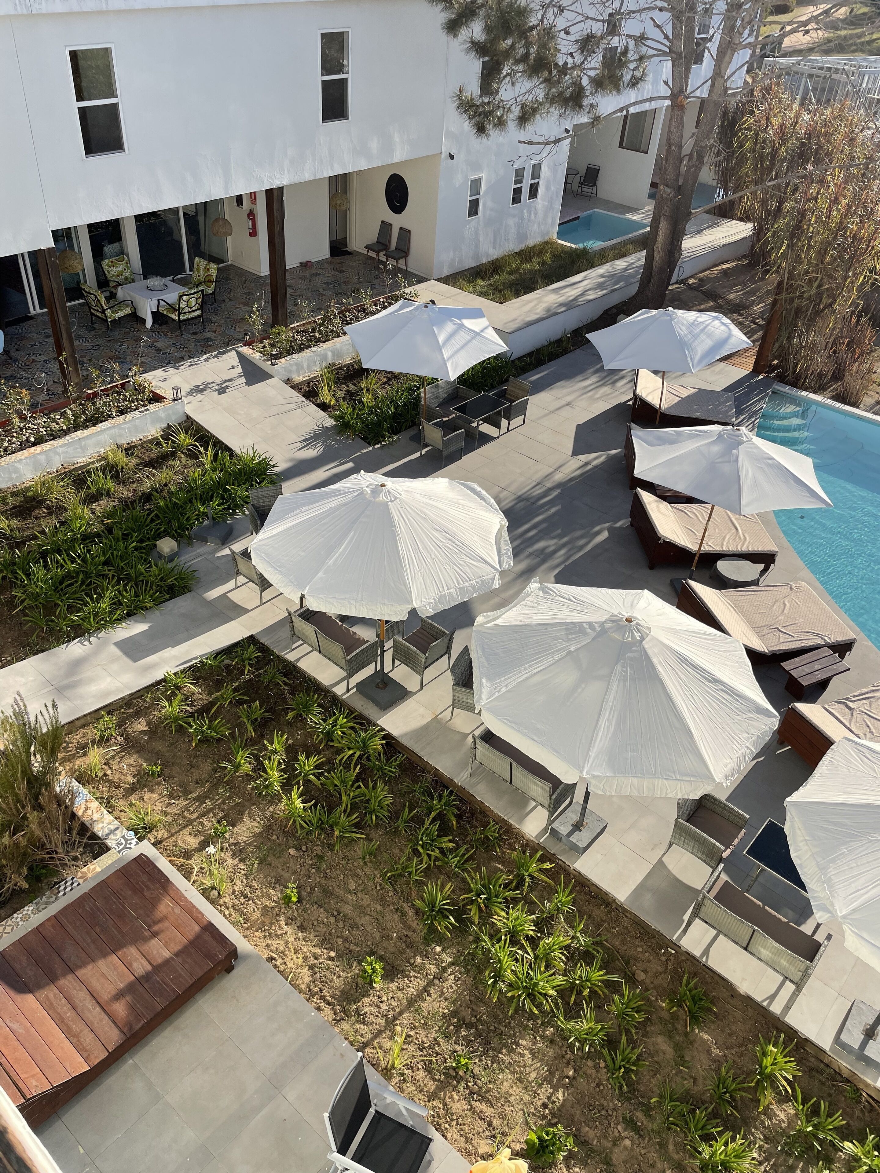 Outdoor pool, pool loungers