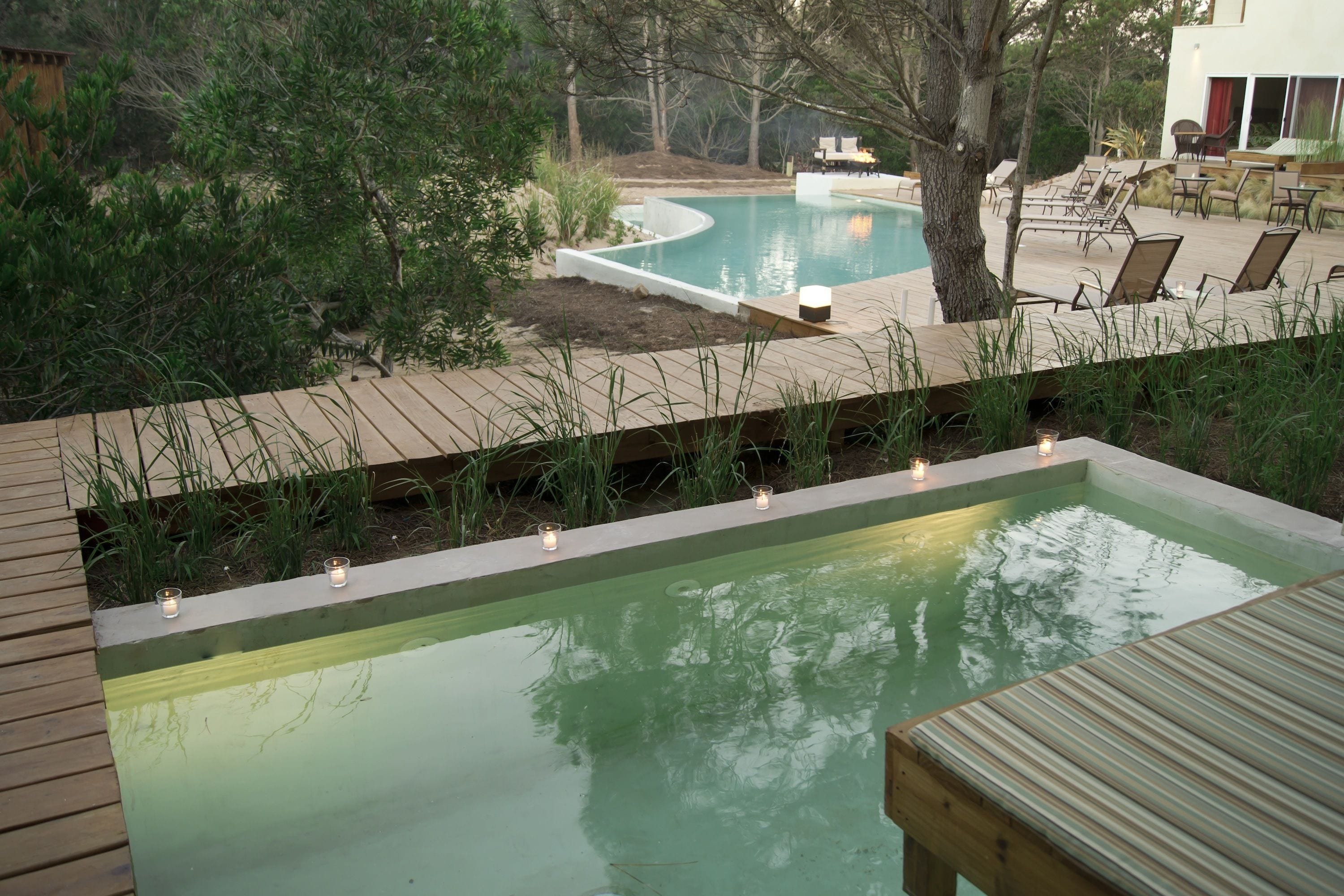 スタジオスイート ガーデンビュー | 高級寝具、羽毛の掛け布団、セレクト コンフォート製ベッド、ミニバー