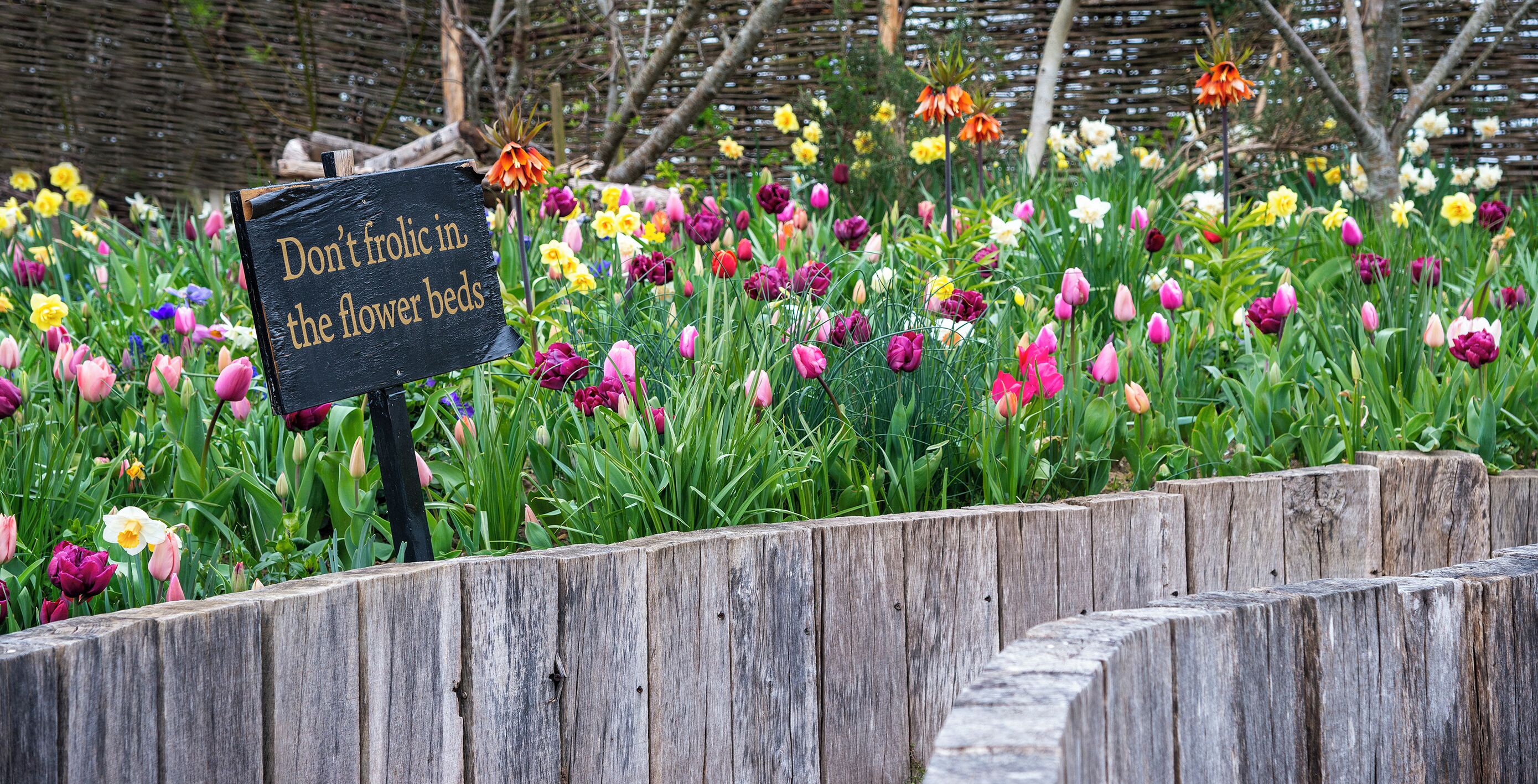 Un letrero en un parterre de flores que dice: 'No hacer público en los parterres de flores'.