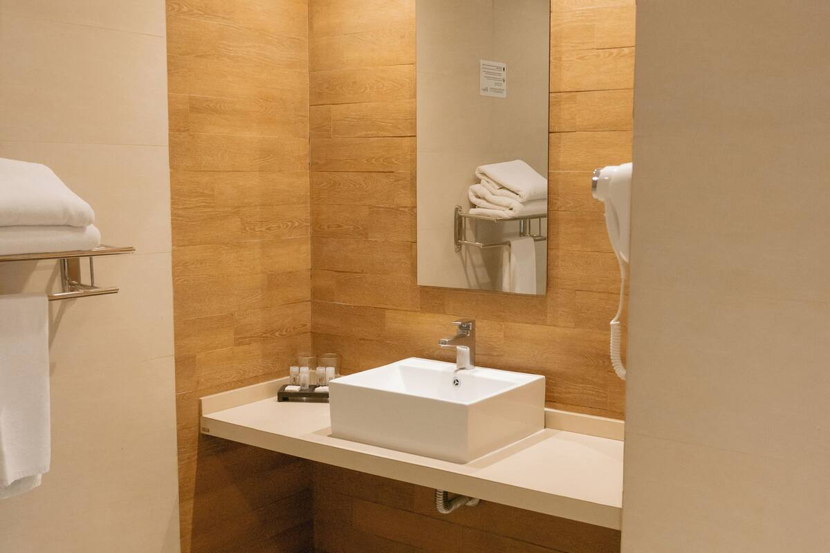 shower, rainfall showerhead, free toiletries, hair dryer