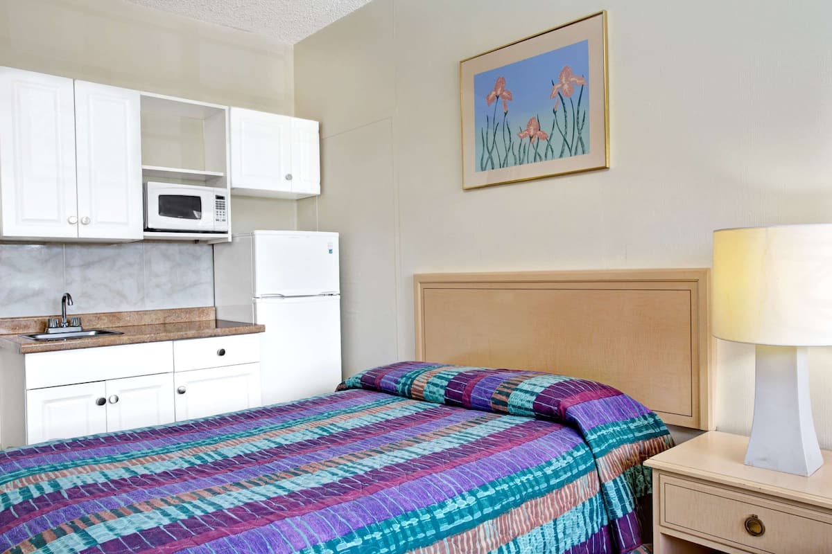 A hotel room with a bed, a nightstand, a lamp, a microwave, a refrigerator, and a sink.