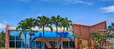 A modern building with a glass facade, palm trees, and a blue awning.