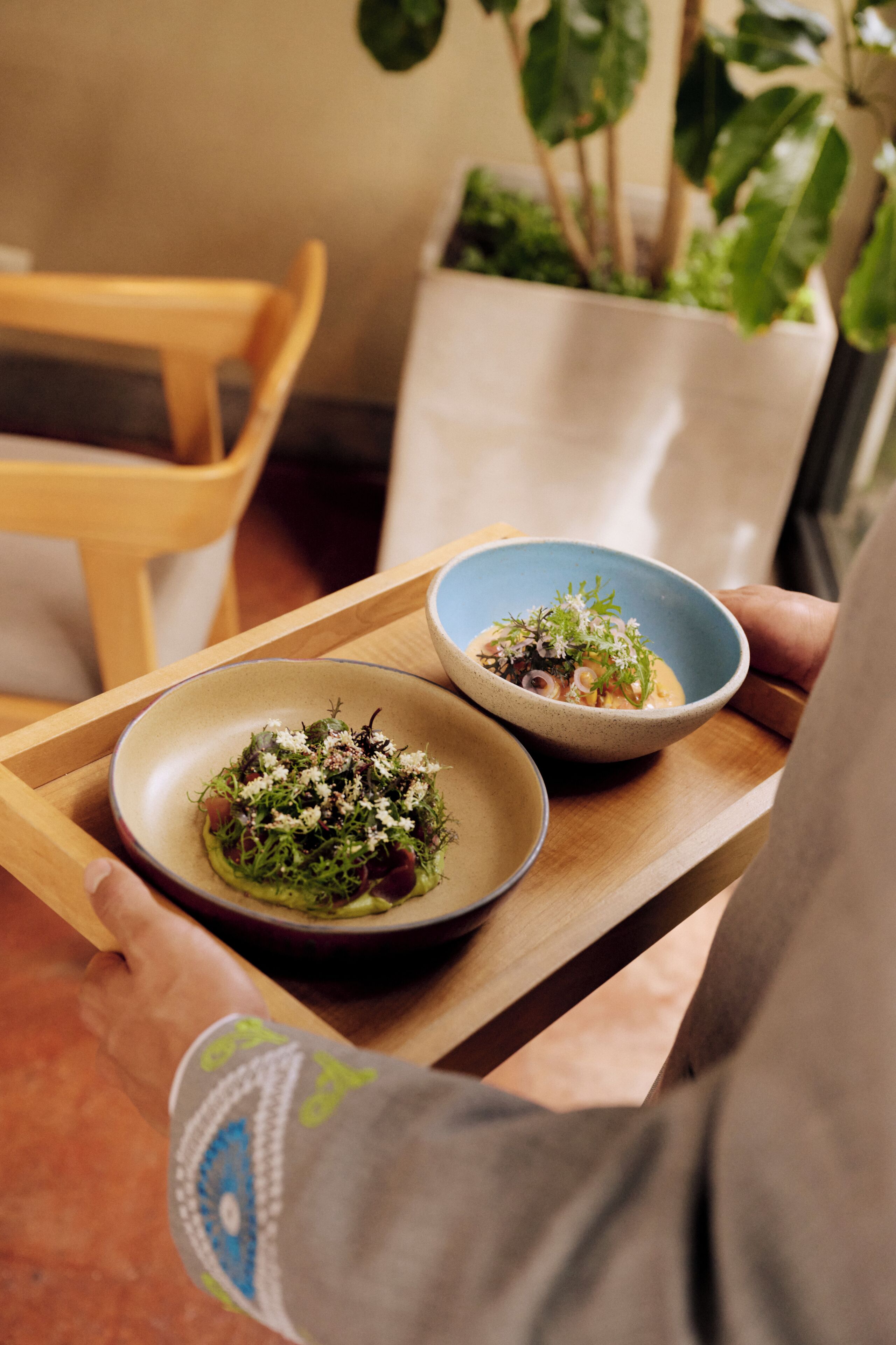A tray with two plates of food, a potted plant, and a wooden chair.