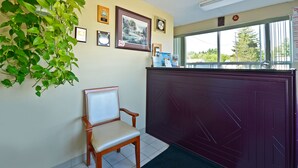 A reception area with a wooden chair, a large green plant, framed pictures, and a window with a view of trees. - Angus Inn (Essa)