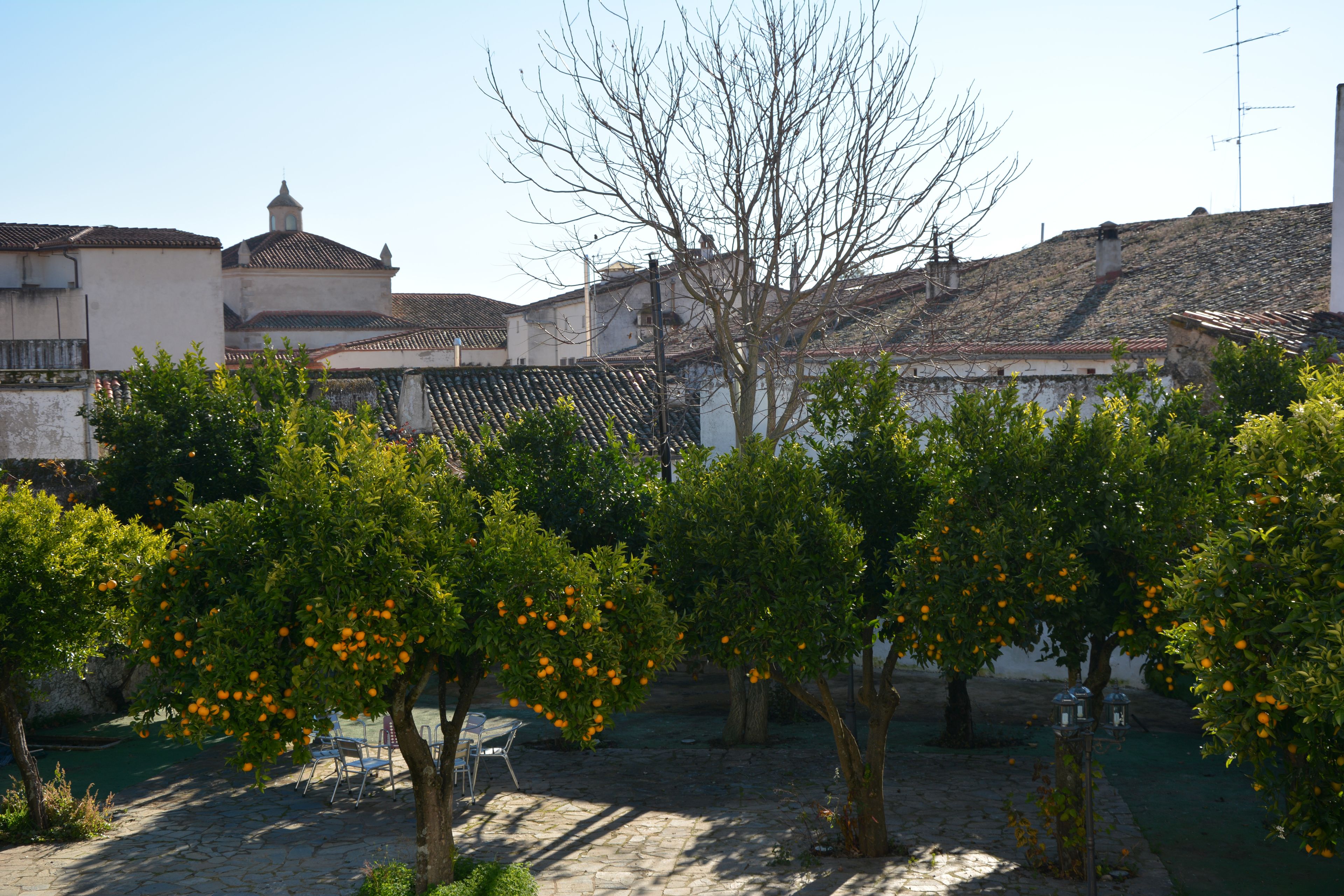 Foto - Hostal San Miguel