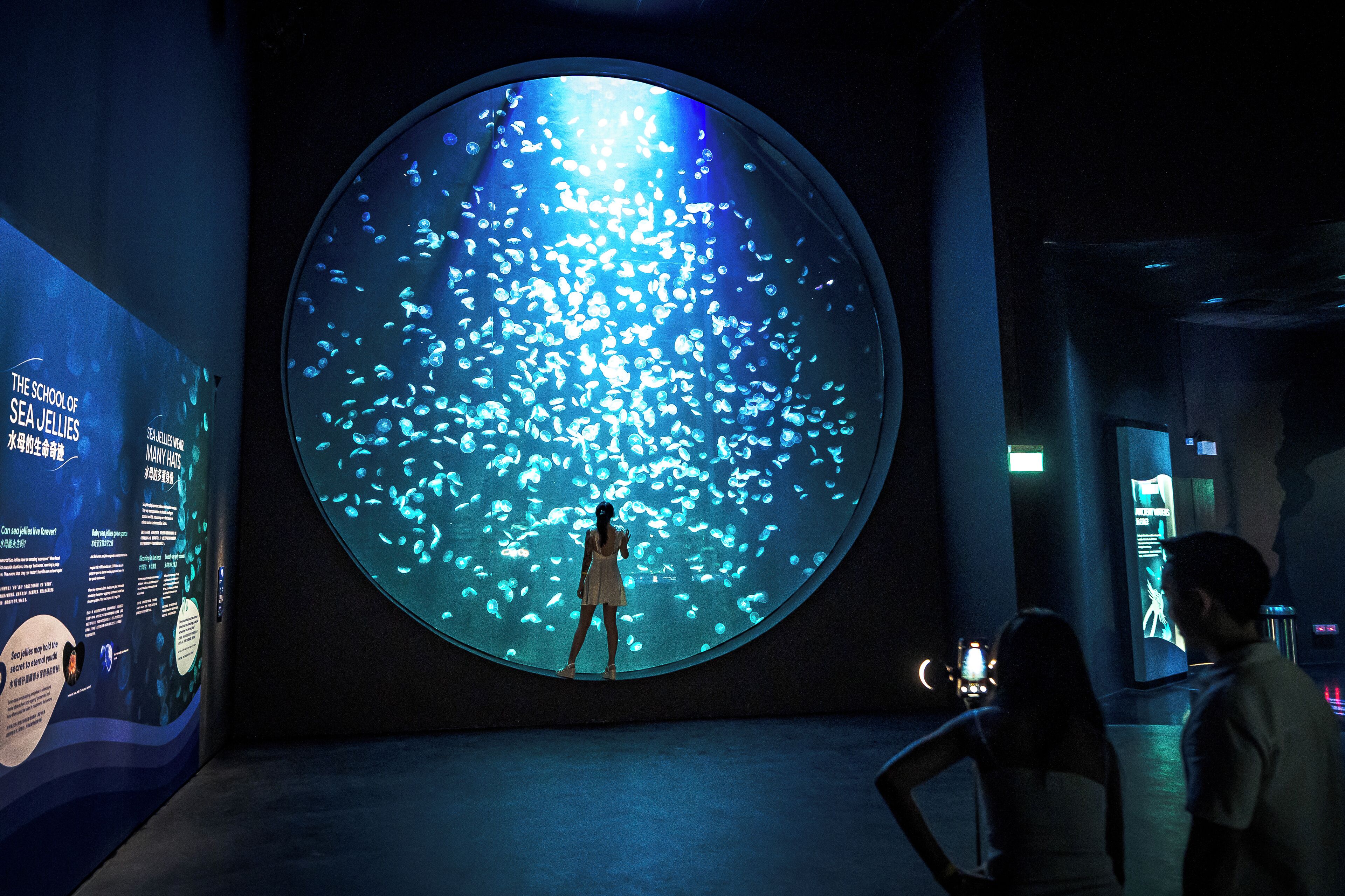 Photo - Resorts World Sentosa - Hotel Michael