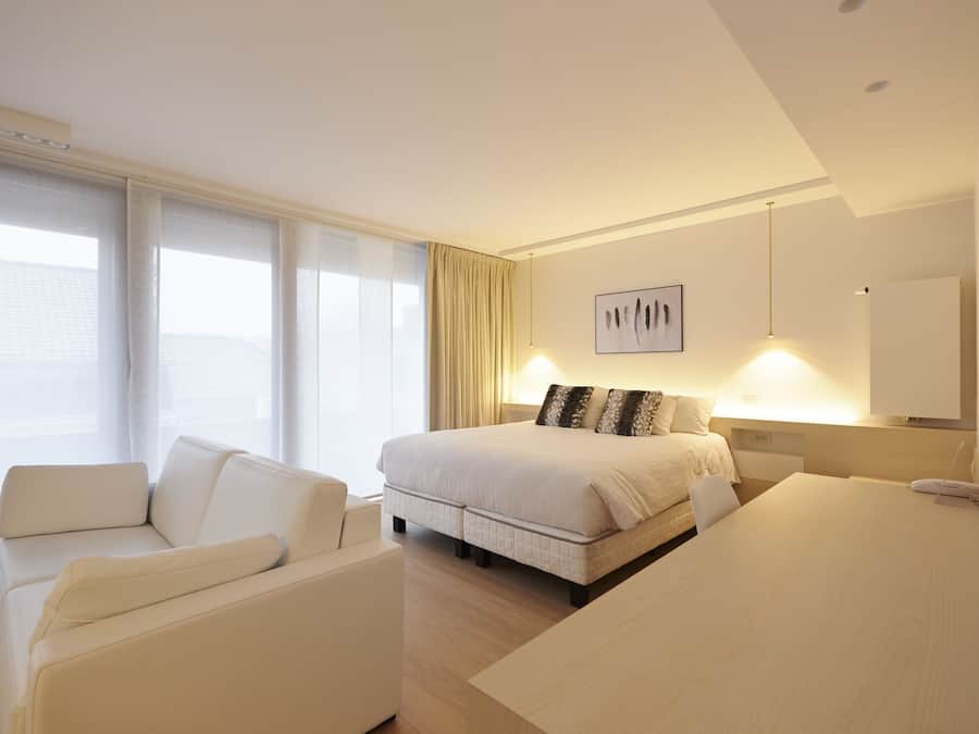 Suite Superior, 1 letto queen con divano letto, accessibile ai disabili | Una cassaforte in camera, una scrivania, postazione laptop