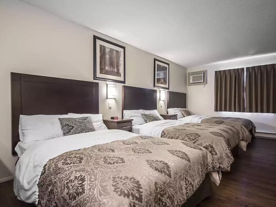 Habitación triple | Escritorio, wifi gratis, ropa de cama y despertador