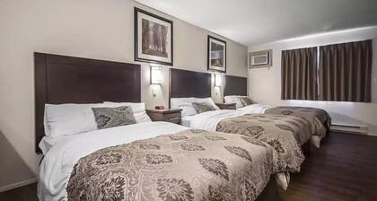 Courtyard Inn Vernon