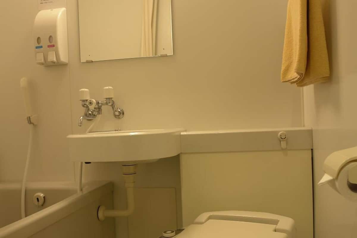 combined shower/bathtub, free toiletries, hair dryer, slippers