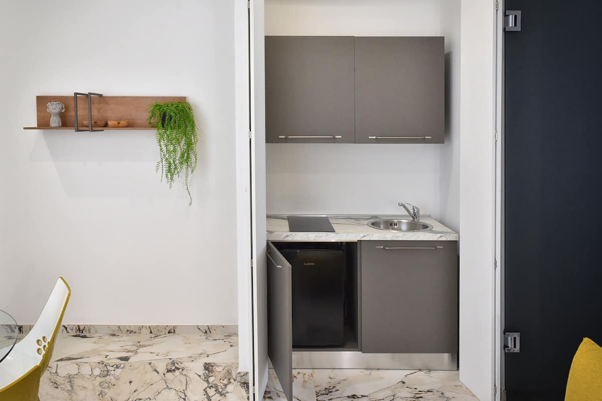 exclusive apartment, 1 bedroom, annex building | private kitchen