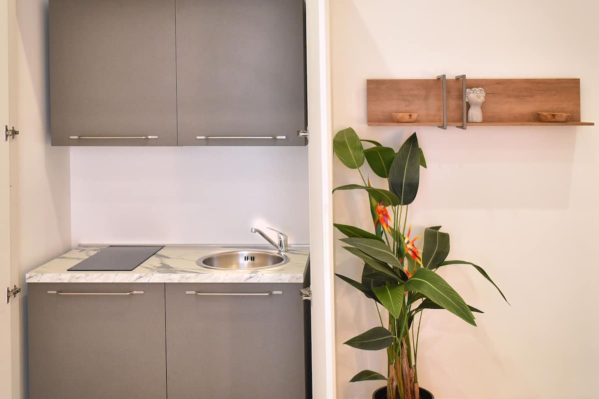 deluxe apartment, 1 bedroom, annex building | private kitchen