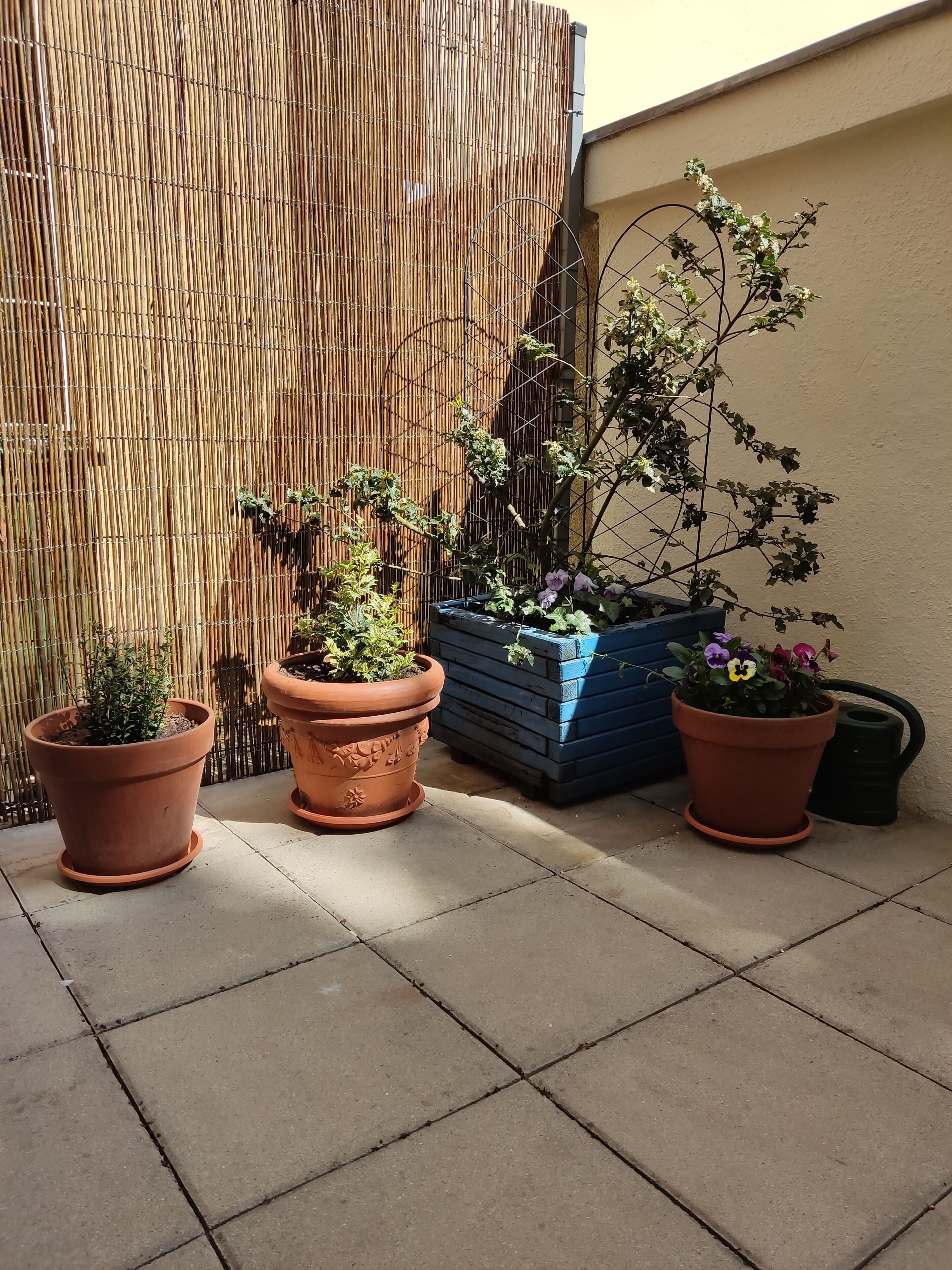 Deluxe Room, Patio | Terrace/patio