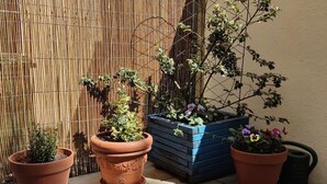 A patio with potted plants, a bamboo fence, and a wall. - Crystal Suites Chez Helena (Kraków)