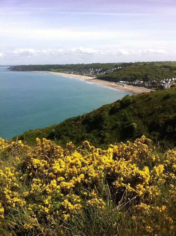 Un paisaje costero con una playa, casas y plantas florecientes de color amarillo.