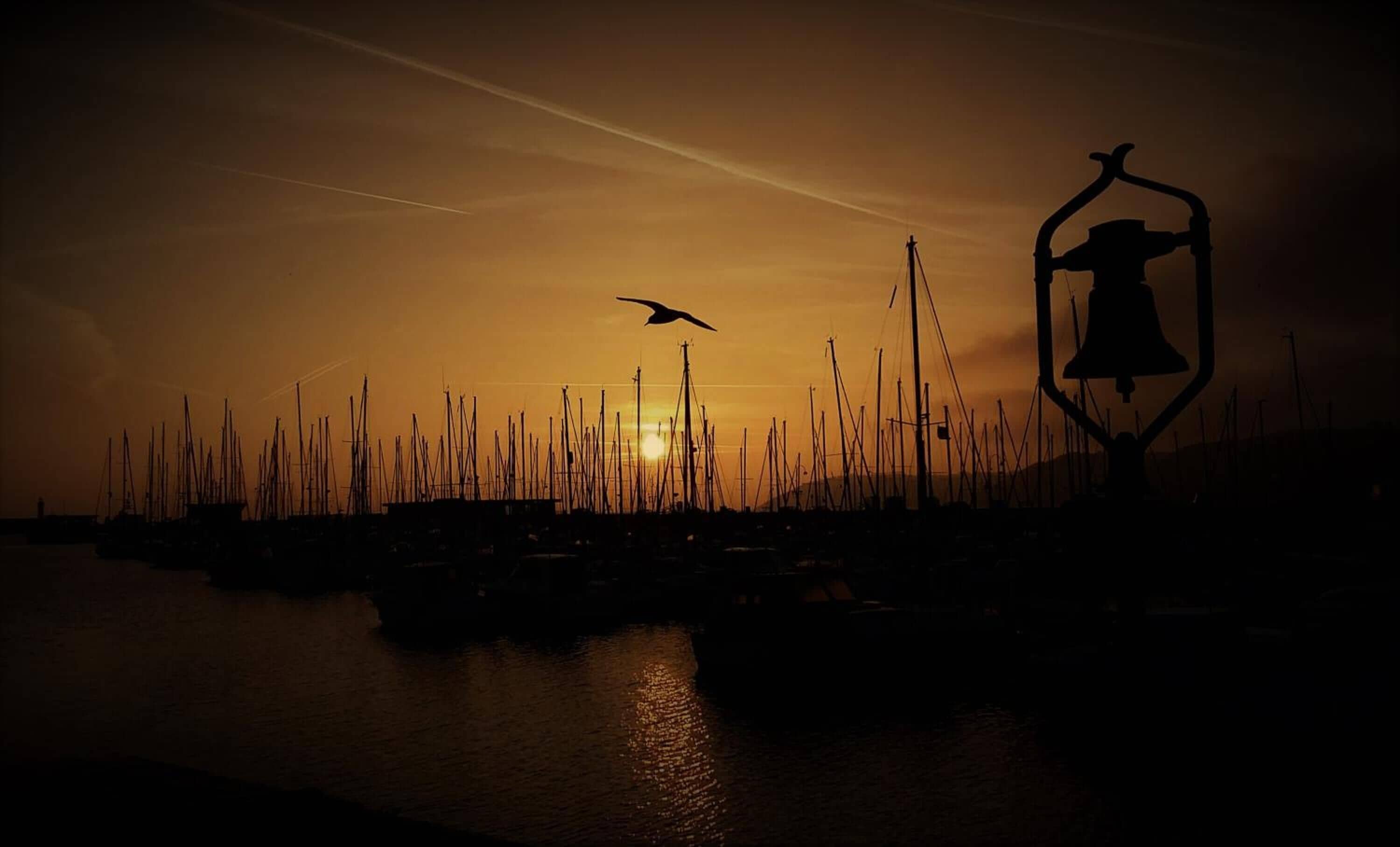 Un puerto deportivo al atardecer con barcos amarrados y un ave volando en el cielo.