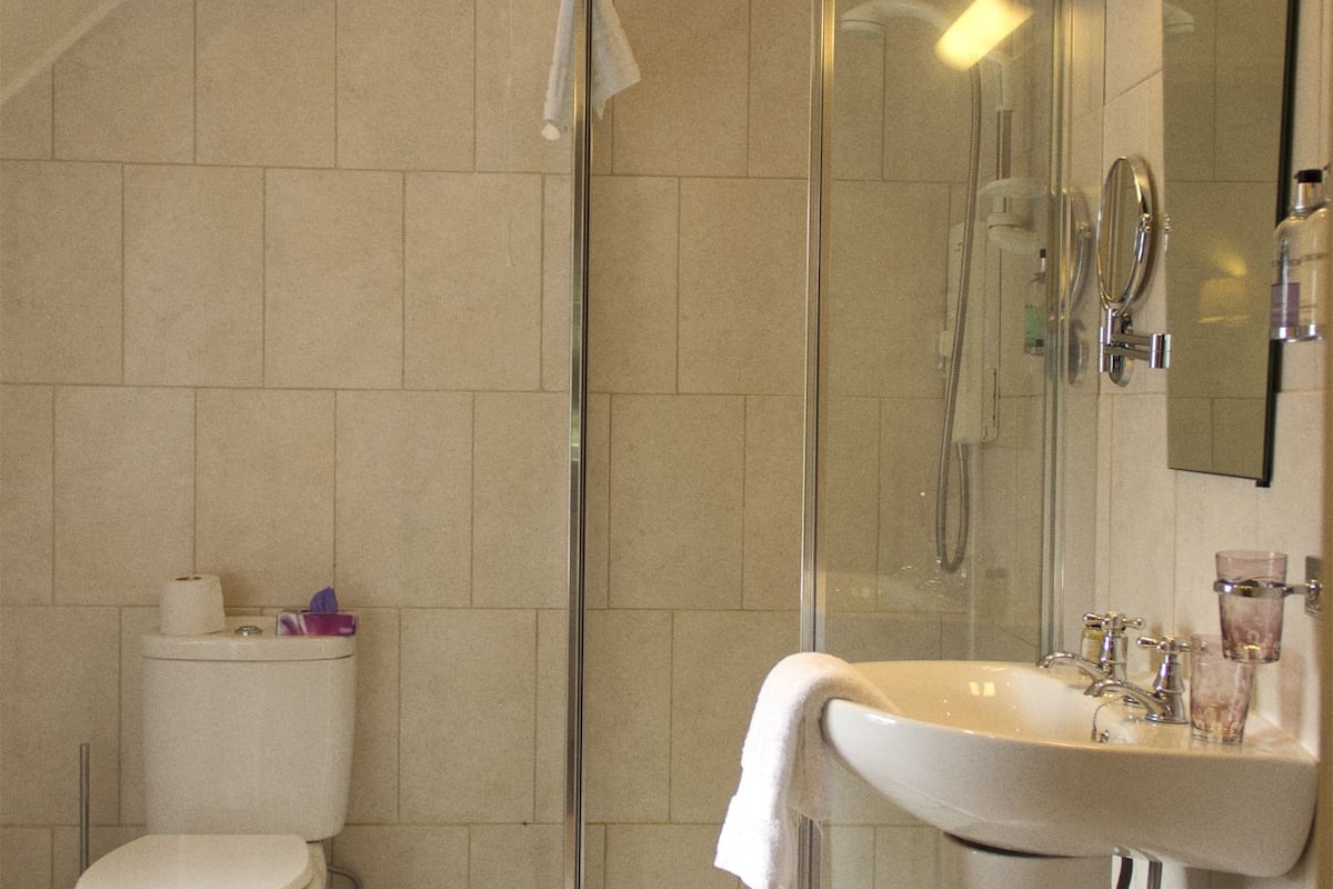 combined shower/bathtub, free toiletries, hair dryer, towels