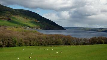 Superior Double or Twin Room | View from room