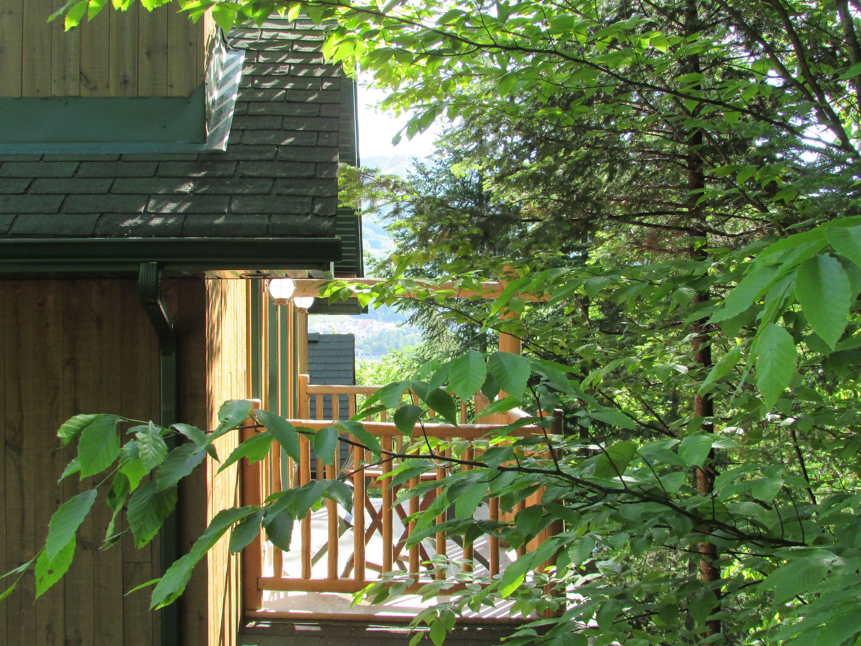 Suite Standard, bain à remous | Balcon