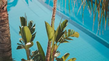 Una piscina al aire libre, sillones reclinables de piscina