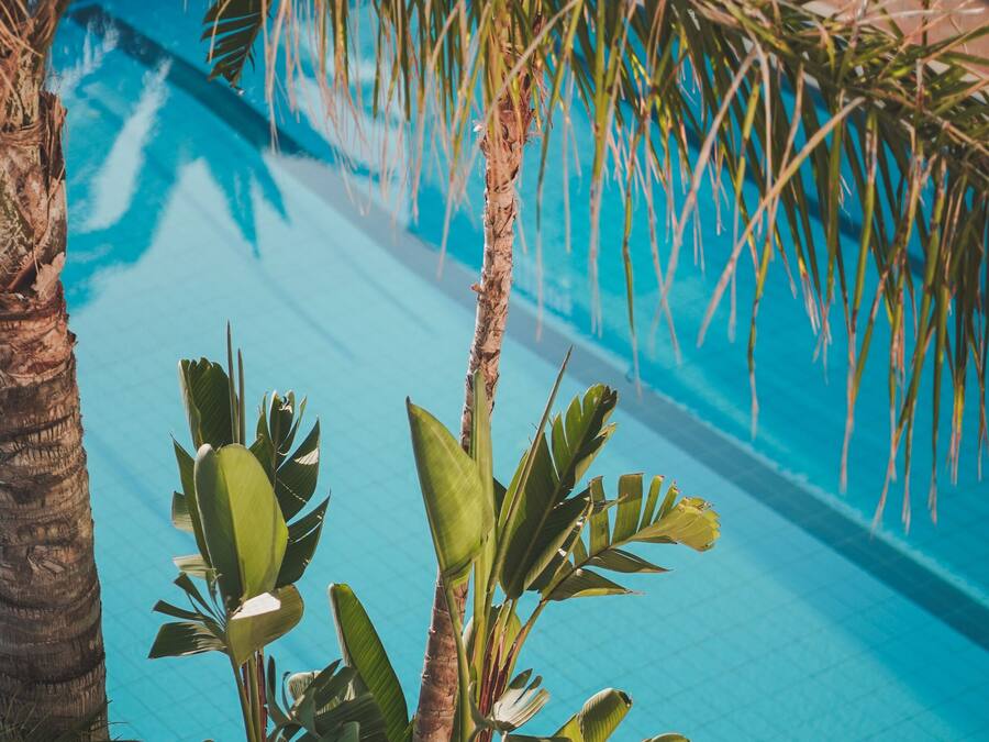 Seasonal outdoor pool, open 8:00 AM to 7:00 PM, free pool cabanas