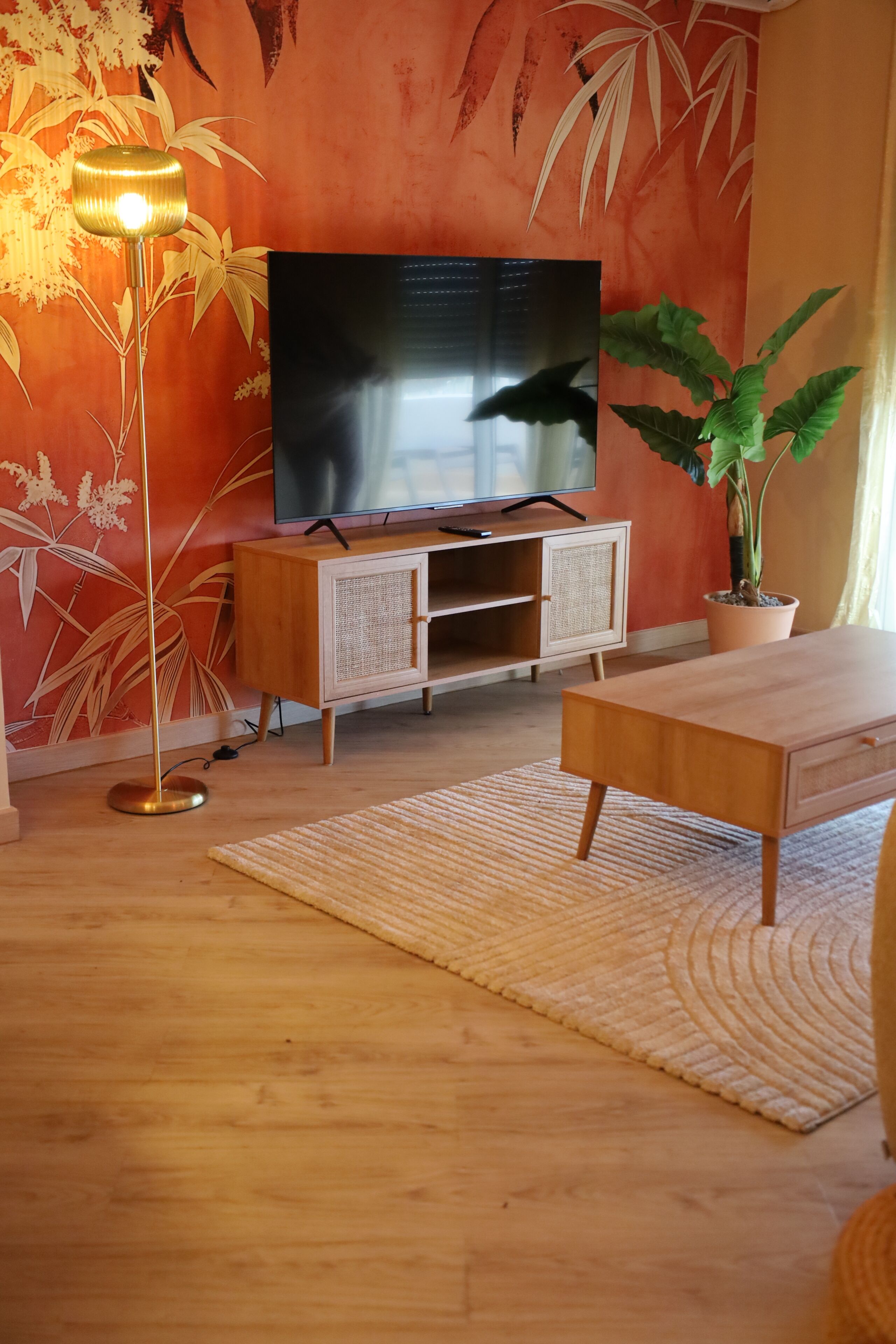 Un soggiorno con televisione, una lampada da terra, un mobiletto in legno, un tavolino da caffè, una grande pianta in vaso e un tappeto decorato.