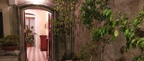 A narrow corridor with a checkered floor leading to a doorway, surrounded by potted plants and metal chairs.
