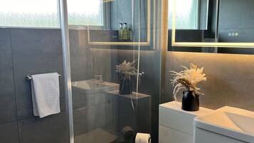 A modern bathroom with a glass-enclosed shower, a toilet, and a vanity with a mirror.