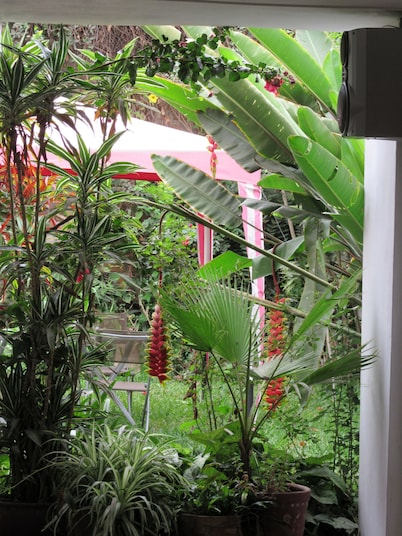 Las Palmeras Inn