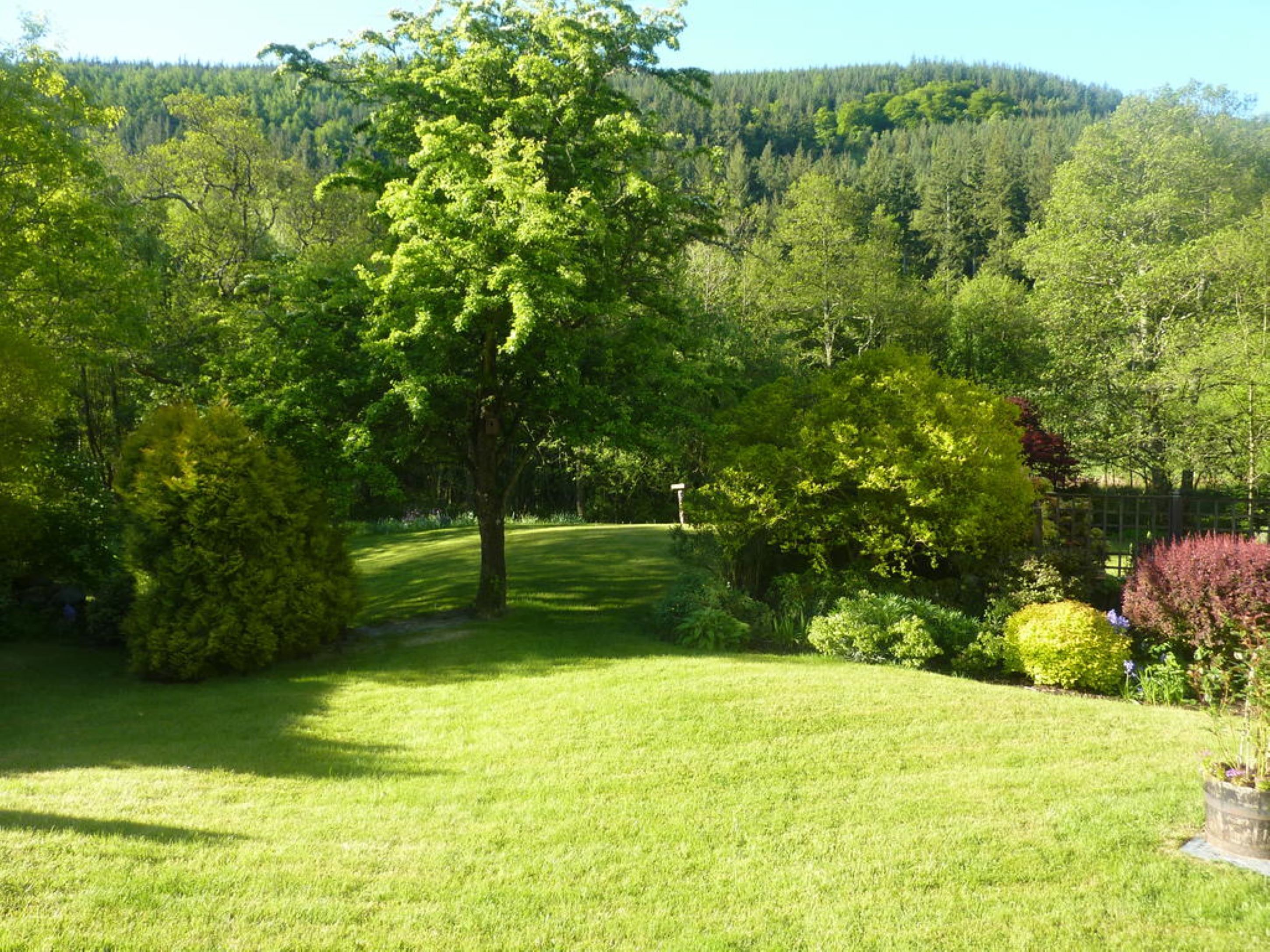 A lush, green landscape with a variety of trees and a well-maintained lawn.