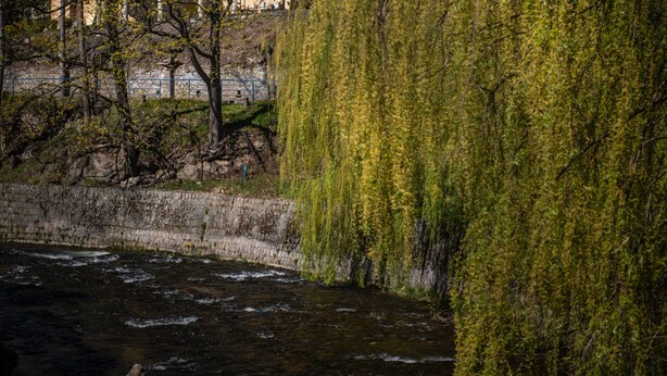 A building with a red roof and multiple windows, surrounded by trees and a river. - Rezydencja Grawert - Victorian Boutique & SPA (Ladek-Zdroj)