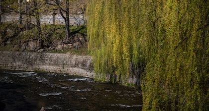 Rezydencja Grawert - Victorian Boutique & SPA